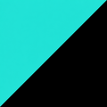 Teal/Black